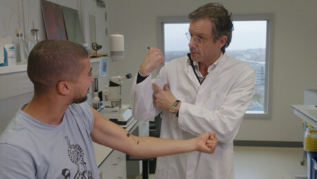 Hoe werken je spieren?